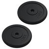 vidaXL Weight Plate 40 kg Cast Iron