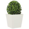 Product Thumbnail Image 4 of 12