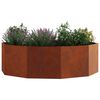 Product Thumbnail Image 3 of 12