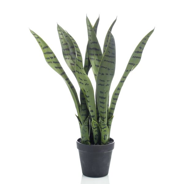 Emerald Artificial Sansevieria 55 cm in Pot
