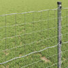 vidaXL Euro Fence Silver 0.6 x 50 m Hot dip galvanized iron