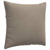 vidaXL Sofa Pillows 2 pcs Taupe 50 x 50 cm Fabric