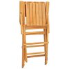 vidaXL Folding Chairs 4 pcs 55x61x90 cm Solid Wood Teak