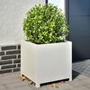 Product Thumbnail Image 2 of 10