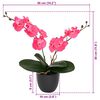 Product Thumbnail Image 5 of 5
