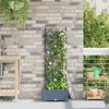 Product Thumbnail Image 2 of 9