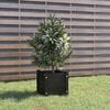 Product Thumbnail Image 2 of 8