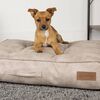 Scruffs & Tramps Dog Mattress Kensington Size M 80x60 cm Cream