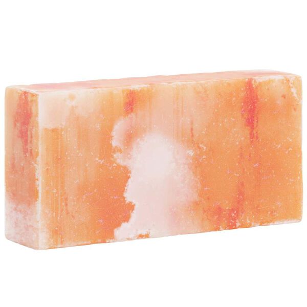 vidaXL Salt Stones 10 pcs Pink 20 x 5 x 10 cm Rock salt