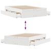 Product Thumbnail Image 10 of 13