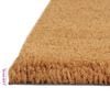 vidaXL Door Mats 5 pcs Natural 40x60 cm Tufted Coir