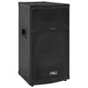 vidaXL Professional Passive Hifi Stage Speaker 150 W Black 37x37x64cm