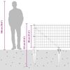 Product Thumbnail Image 16 of 16