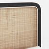 vidaXL Headboard with Headboard Black 120 x 55 x 3 cm Rattan