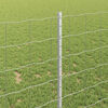 Product Thumbnail Image 4 of 7