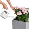 LECHUZA Planter Canto Color Square 40 ALL-IN-ONE Grey 13720
