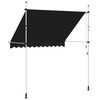 vidaXL Manual Retractable Awning 250 cm Anthracite