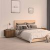 Product Thumbnail Image 2 of 5