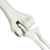 Product Thumbnail Image 5 of 7