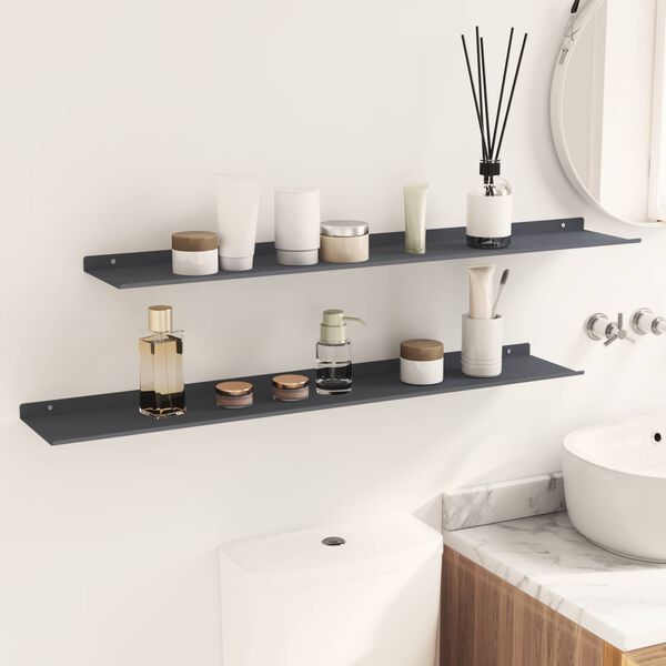 vidaXL Floating Shelf 2 pcs Anthracite 100 x 18 x 2.5 cm Steel