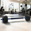vidaXL 2-in-1 Dumbbell Set Black and Blue 121 x 19.5 x 19.5 cm