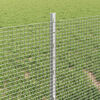 Product Thumbnail Image 4 of 13