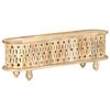 vidaXL TV Cabinet 120x30x40 cm Solid Mango Wood
