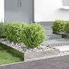 Product Thumbnail Image 4 of 13