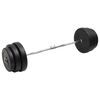 vidaXL Curl Barbell with Plates 90 kg