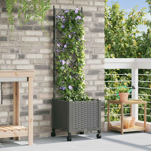 Showing Product Image 2 of 7