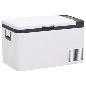 vidaXL Cool Box with Handle Black and White 18 L PP & PE