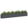 Product Thumbnail Image 2 of 7
