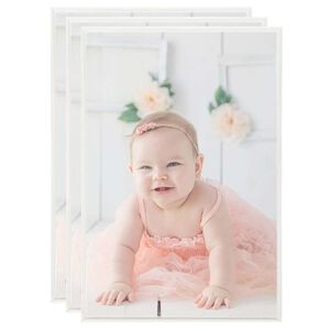 vidaXL Photo Frame | Set of 3 | Silver | MDF, PS, PVC | 21 x 29.7 cm