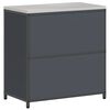 vidaXL Kitchen Storage with Shelf Anthracite 90 x 50 x 92 cm Steel