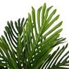 Product Thumbnail Image 2 of 5