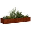 Product Thumbnail Image 3 of 10