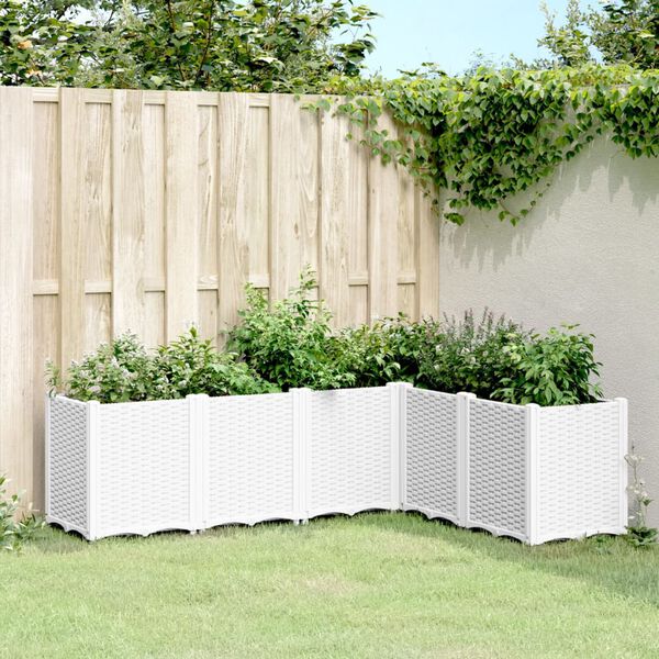 Showing Product Image 2 of 8