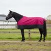vidaXL Horse Blanket Pink and Black 75 cm Polyester