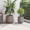 vidaXL Planter Basket with Storage 2 pcs Grey Lacak Rattan