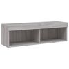 vidaXL TV Cabinet with LED Lights Grey Sonoma 100x30x30 cm