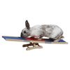 Kerbl Rodent Rocker/Agility Toy 60x18x12 cm