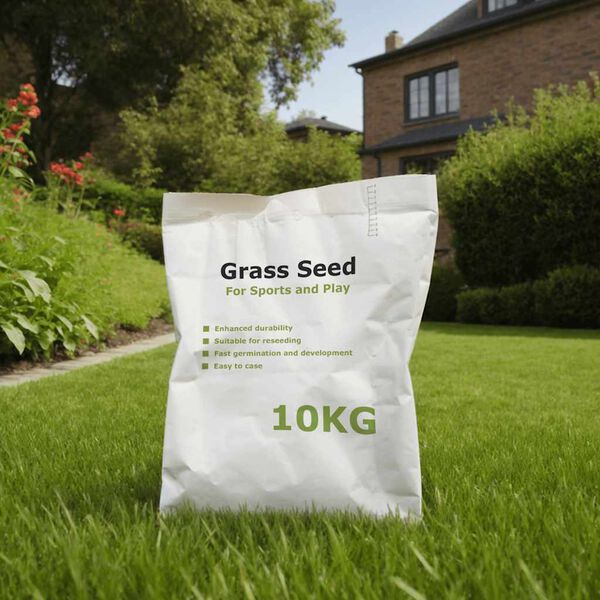 vidaXL Grass Seed for Sports and Play 10 kg