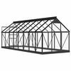 vidaXL Glass Greenhouse Anthracite 155x395.5x191 cm Aluminium