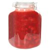 vidaXL Glass Jam Jars with Lock 12 pcs 5 L