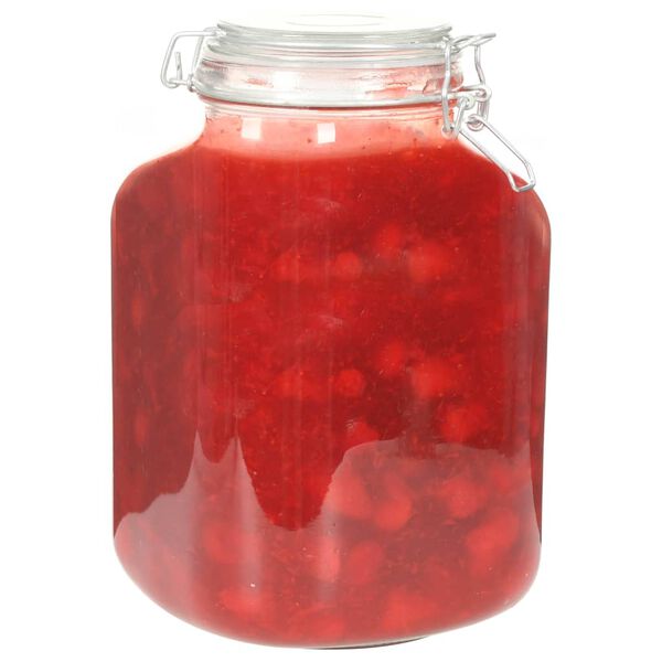 vidaXL Glass Jam Jars with Lock 12 pcs 5 L