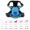vidaXL Dog Harness with Lead & Collar Adjustable Blue M