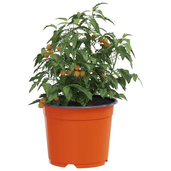 vidaXL Flower Pot 100 pcs Terracotta &Oslash; 10 x 8 cm Plastic