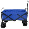 vidaXL Folding Hand Trolley Manual Blue 89 x 63 x 96 cm