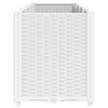 Product Thumbnail Image 5 of 7