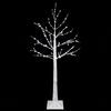 Product Thumbnail Image 4 of 7